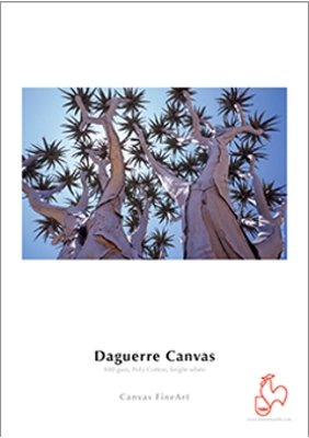 daguerre_canvas_400_gsm_big.jpg